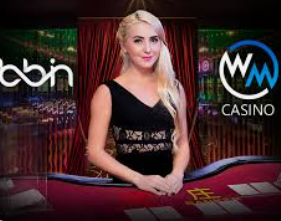 bwin必赢2024最新版